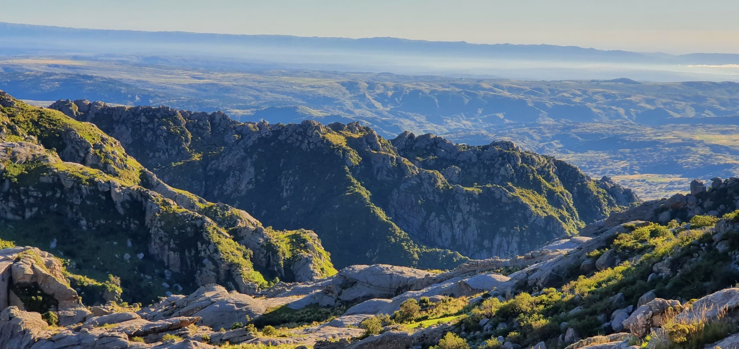 Bosques de Agua — portada