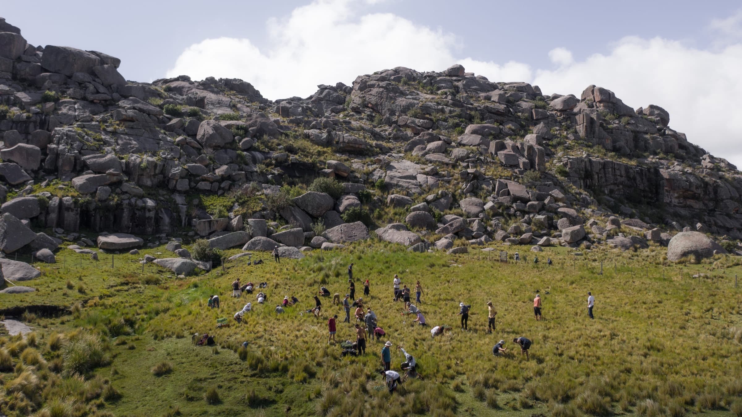 Equipo de Bosques de Agua plantando en las Sierras Grandes